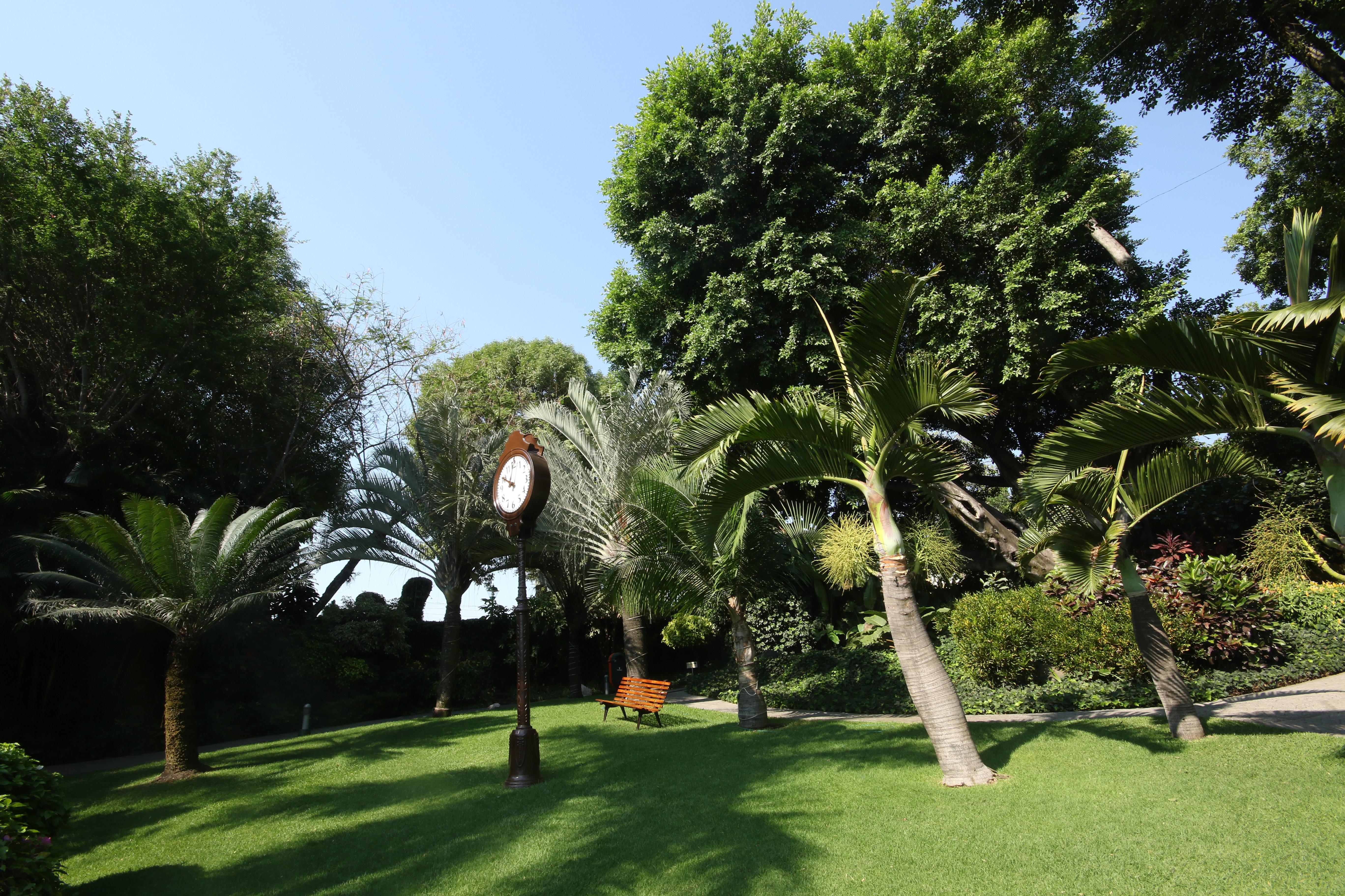 Holiday Inn Cuernavaca By Ihg Buitenkant foto