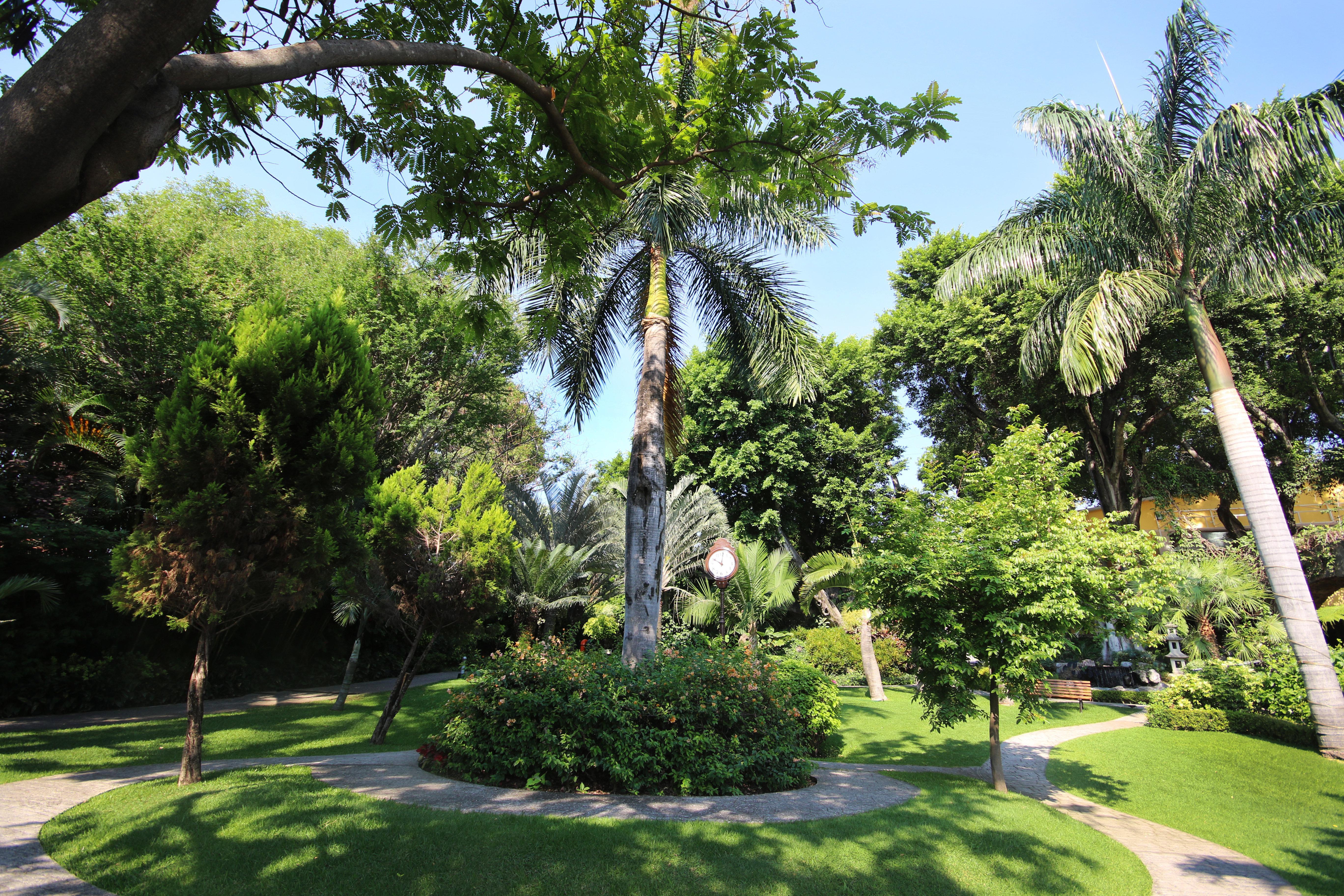 Holiday Inn Cuernavaca By Ihg Buitenkant foto